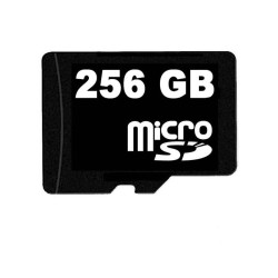 Carte SD, Carte Micro SD 256 Go Vitesse Élevée Carte Memoire Ultra